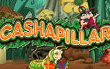 Cashapillar
