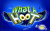 What a Hoot